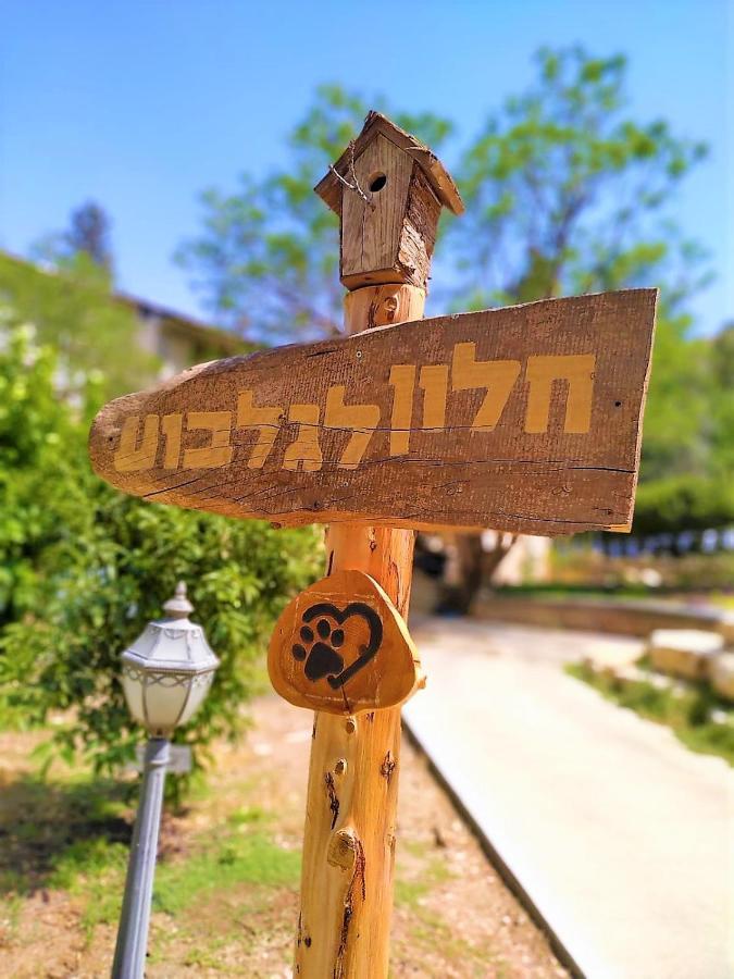 חלון לגלבוע צימר בוטיק בעמק המעיינות Bet Alfa Екстериор снимка