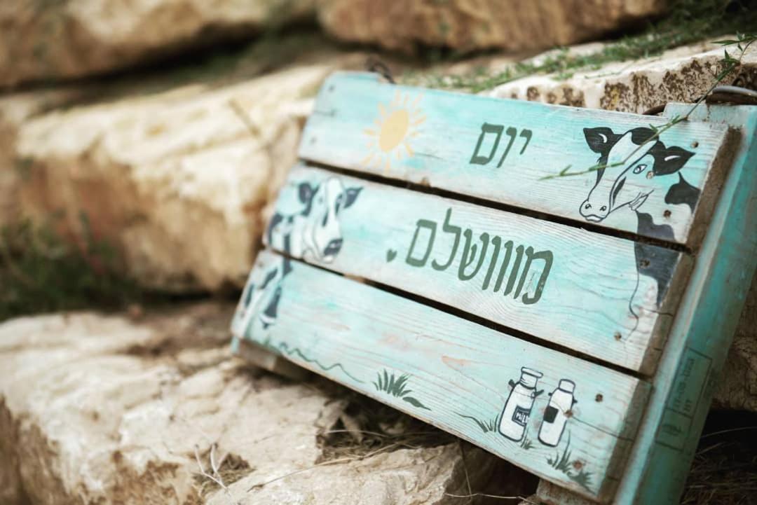 חלון לגלבוע צימר בוטיק בעמק המעיינות Bet Alfa Екстериор снимка